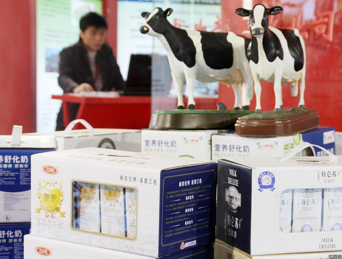 乳制品進(jìn)口清關(guān)代理:保障“乳”此重要的關(guān)鍵環(huán)節(jié)